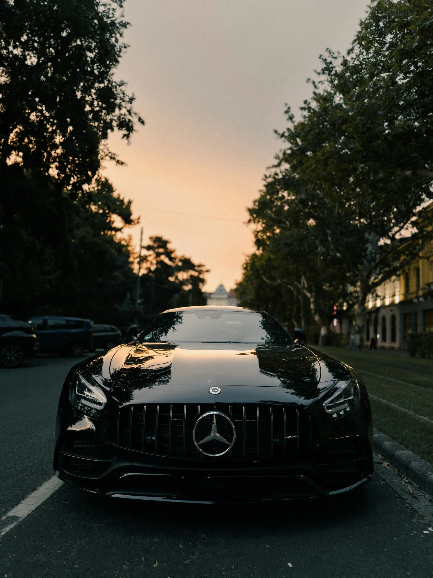 Black Mercedes-AMG photographed in warm evening light